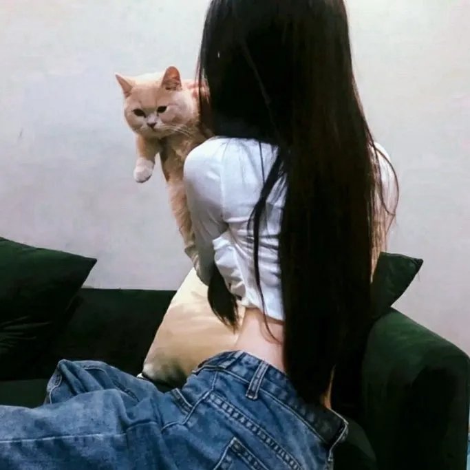 新猛鬼街国语