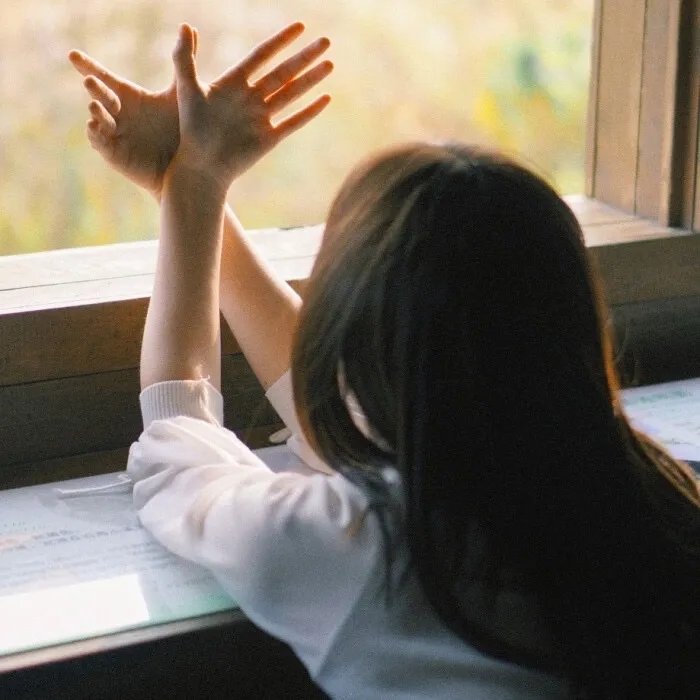 我能看到成功率第二季